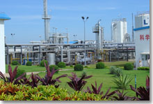 LNG plant we participated in construction